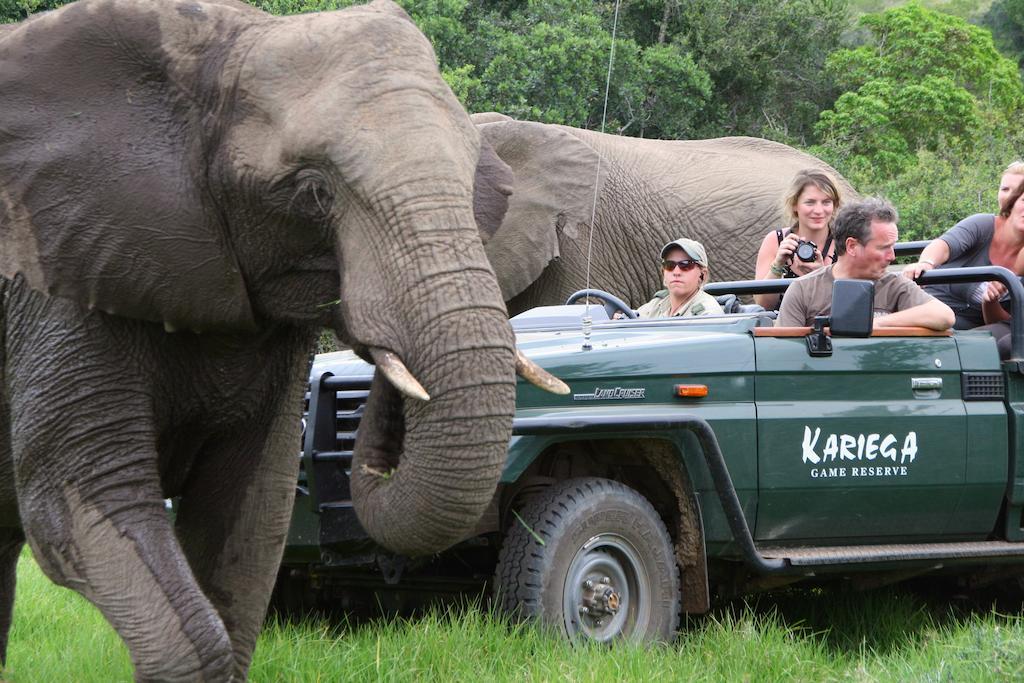 Kariega Game Reserve River Lodge Kenton on Sea Exterior foto